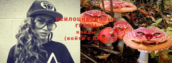 меф Балахна