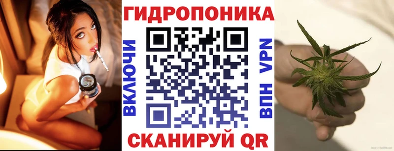 Конопля семена  Баксан 